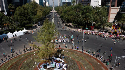 Plantan ahuehuete en Paseo de la Reforma