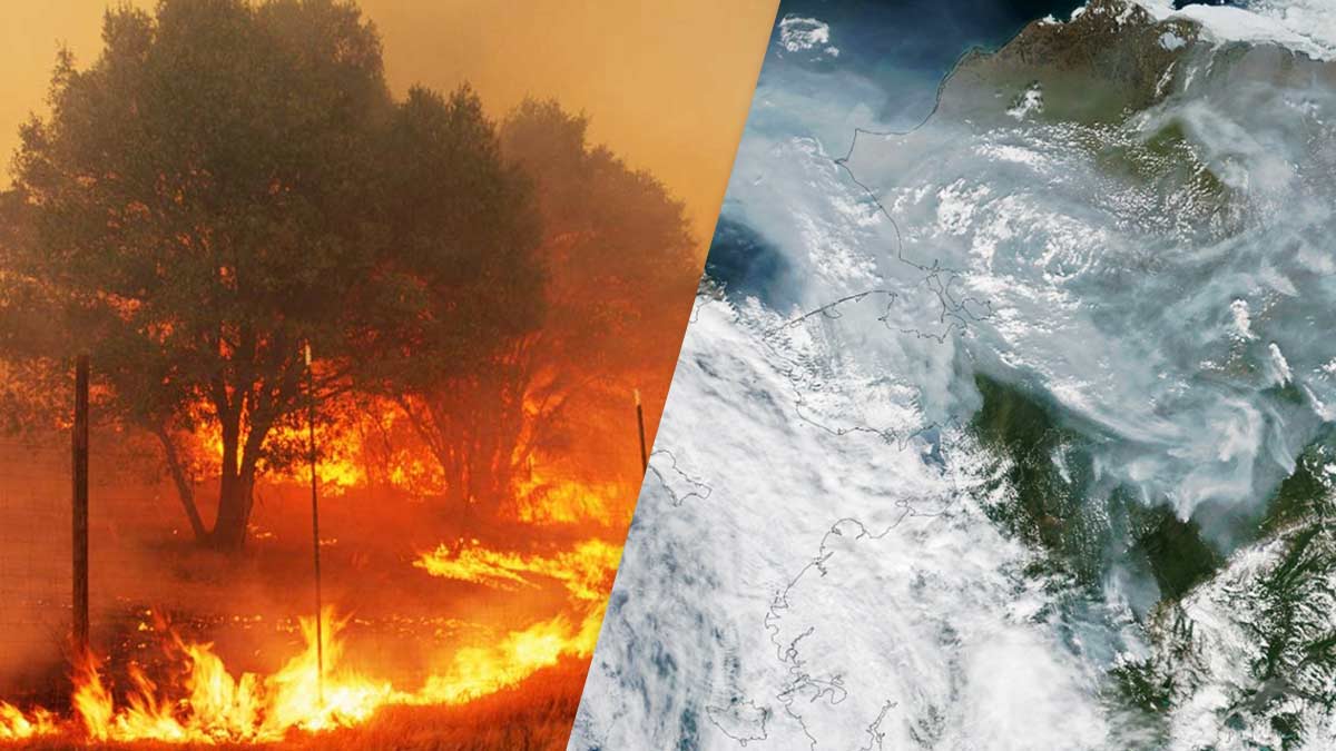 Ola De Calor Causa Incendios En El Mundo Se Ven En El Espacio Uno Tv
