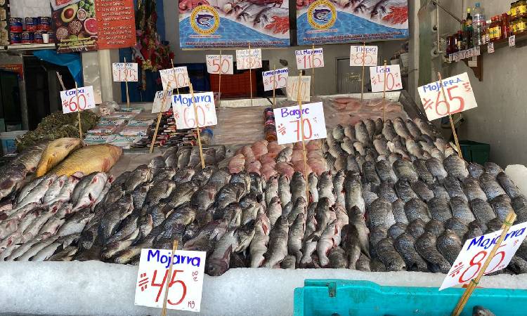 Cuaresma: comunidad de Zinacantepec abastece de pescados y mariscos al  Edomex - Uno TV