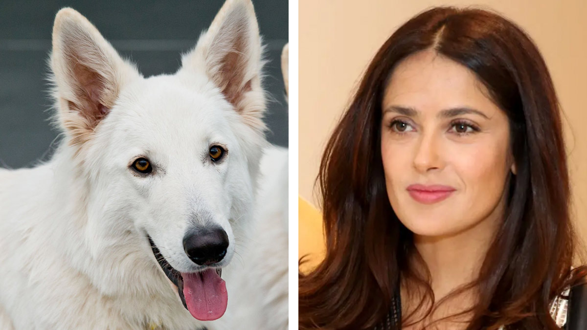 Salma Hayek en sesión de fotos con su perro