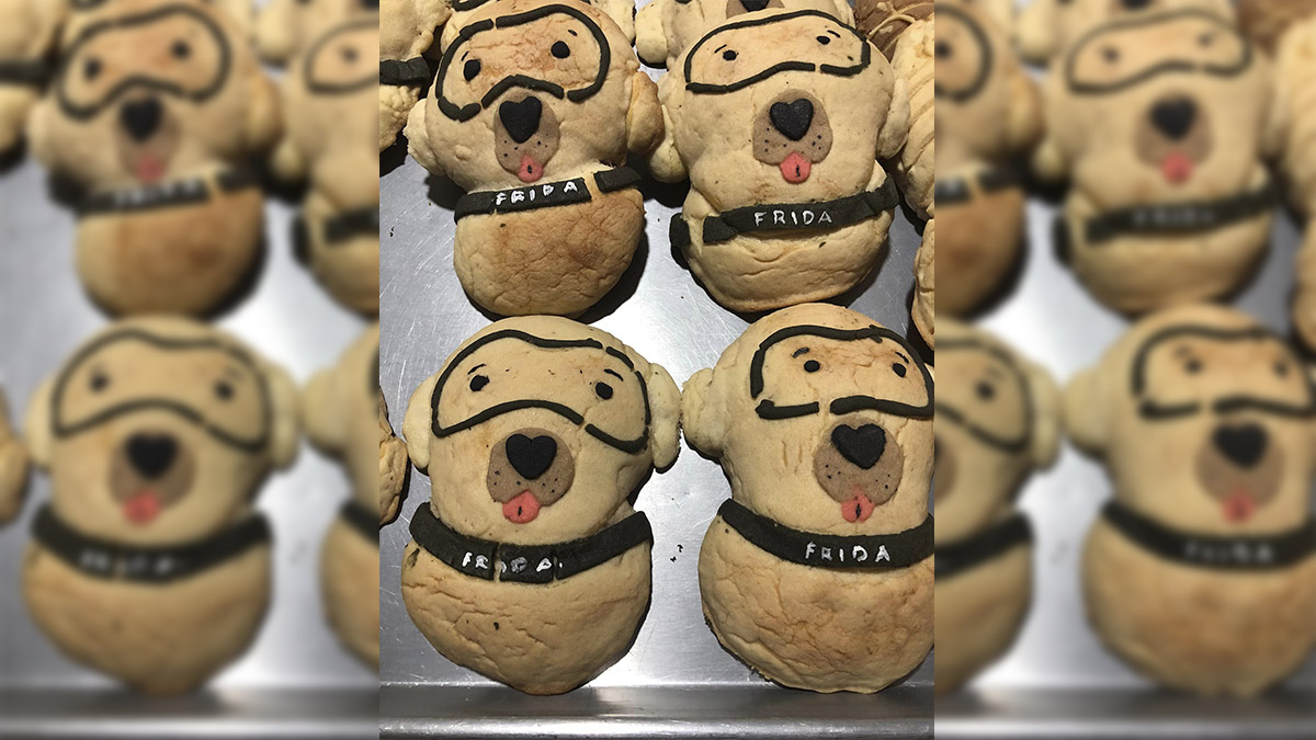 Conchas de “Frida' y ' Proteo”: panadería en Puebla les rinde homenaje