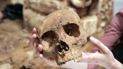 INAH descubre cámara funeraria en Palenque