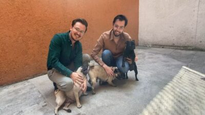 Perritos fueron embargados