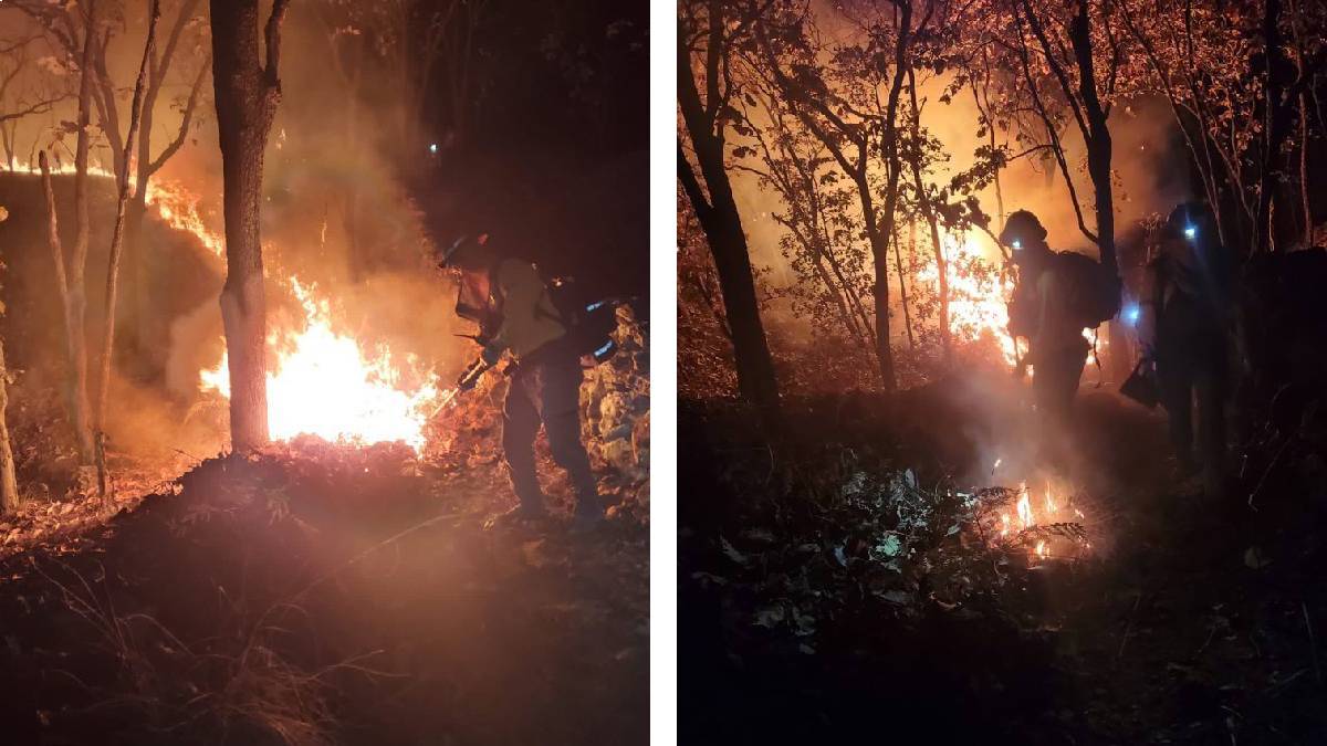 Incendio en el Bosque de la Primavera entre Zapopan y Guadalajara