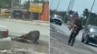 indigente llora por muerte de su perrito