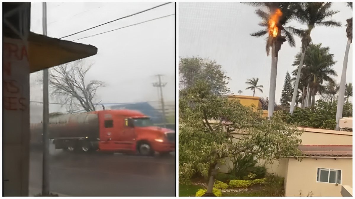 Palmera Se Incendia En Oaxaca