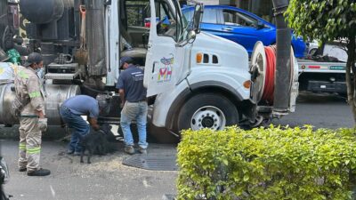 PERRITO CEJAS TRABAJA EN LA MIGUEL HIDALGO