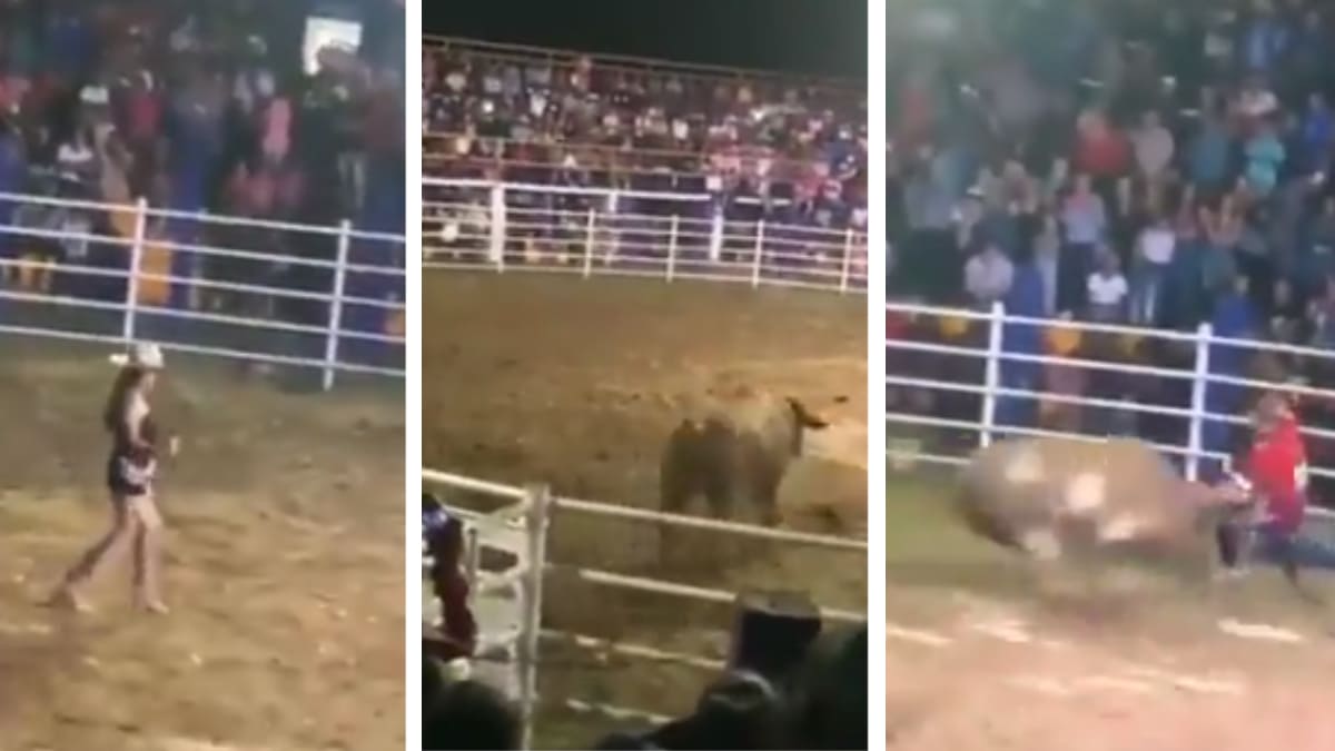 Pudo Terminar En Tragedia Cantante Hacia Show Y Casi La Embiste Toro En Jaripeo