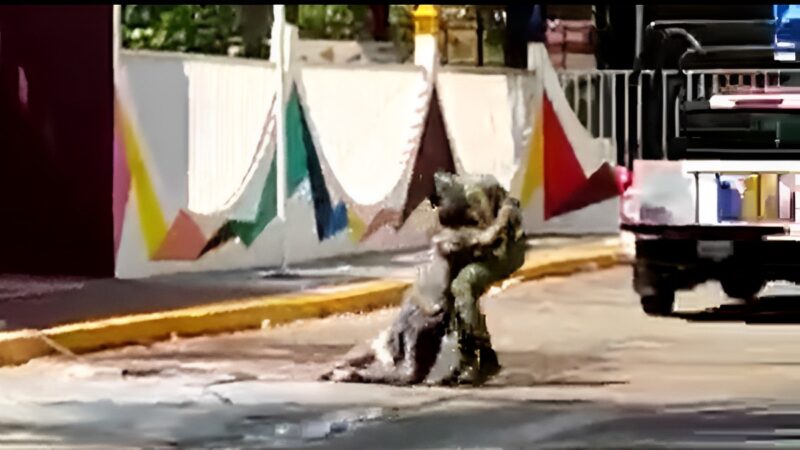 Militar Salva A Indigente De Ataque De Abejas En Acapulco Uno Tv 6349